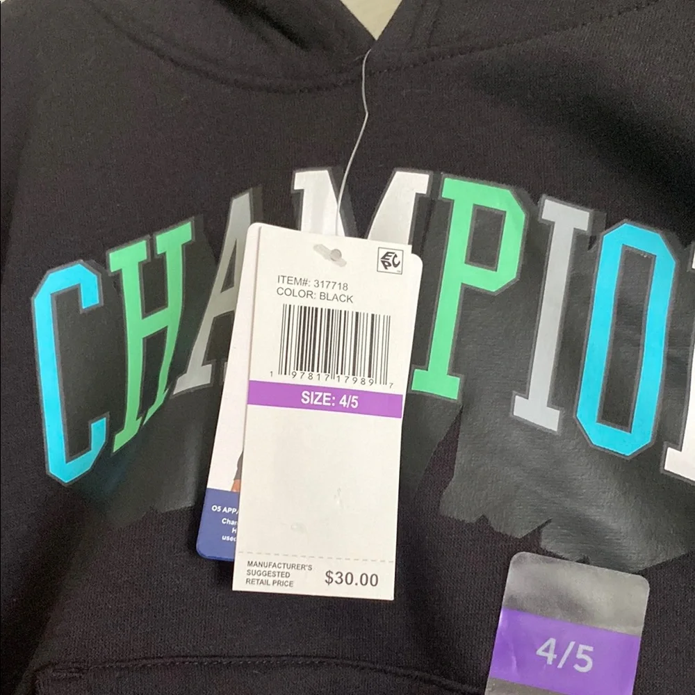 Boy’s Champion Hoodie with Teal and White Accents - Picture 2 of 3